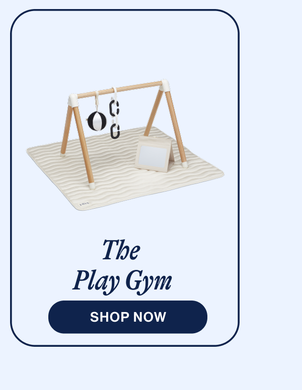 The Play Gym