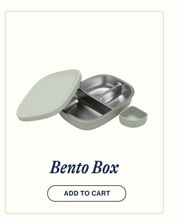 Bento Box