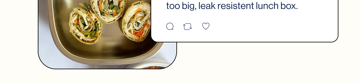 This Bento Box checks many boxes for a good high quality, easy to use, not too big, leak resistent lunch box.