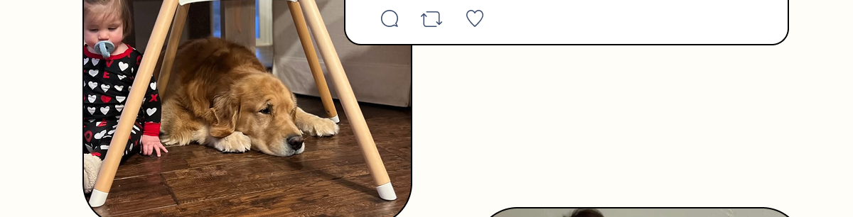 The Chair is so easy to assemble. Easy to clean, and very sturdy. We bought the bundle so we can change to a booster. Love the modern design.