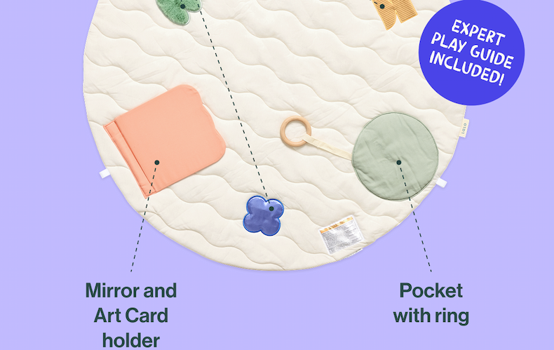 Expert play guide included !