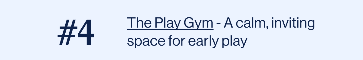 The Play Gym