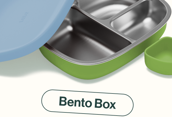 Bento Box