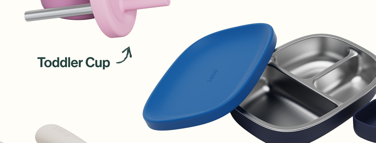 Toddler Cup and Bento Box