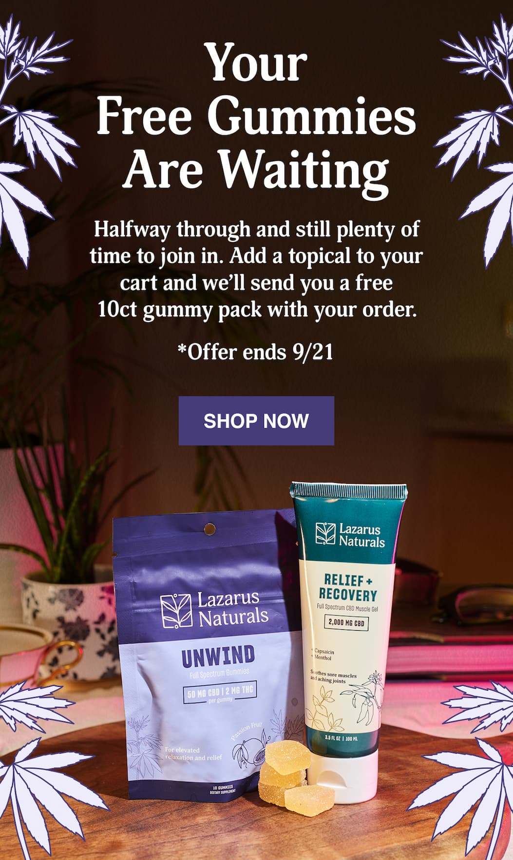 BUY A TOPICAL, GUMMIES ON US - SHOP NOW
