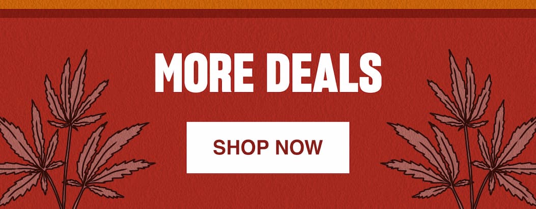 MORE DEALS - SHOP NOW