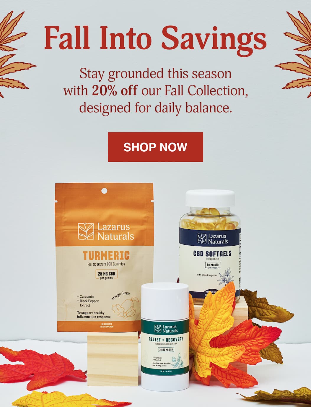 Fall Into Savings 20% Off The Fall Collection