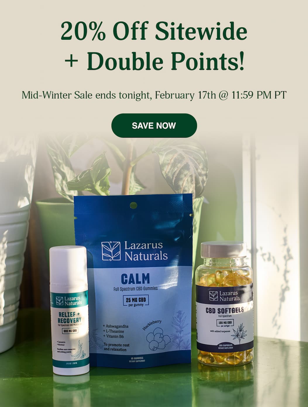 20% Off Sitewide & Double Rewards Points - Save Now