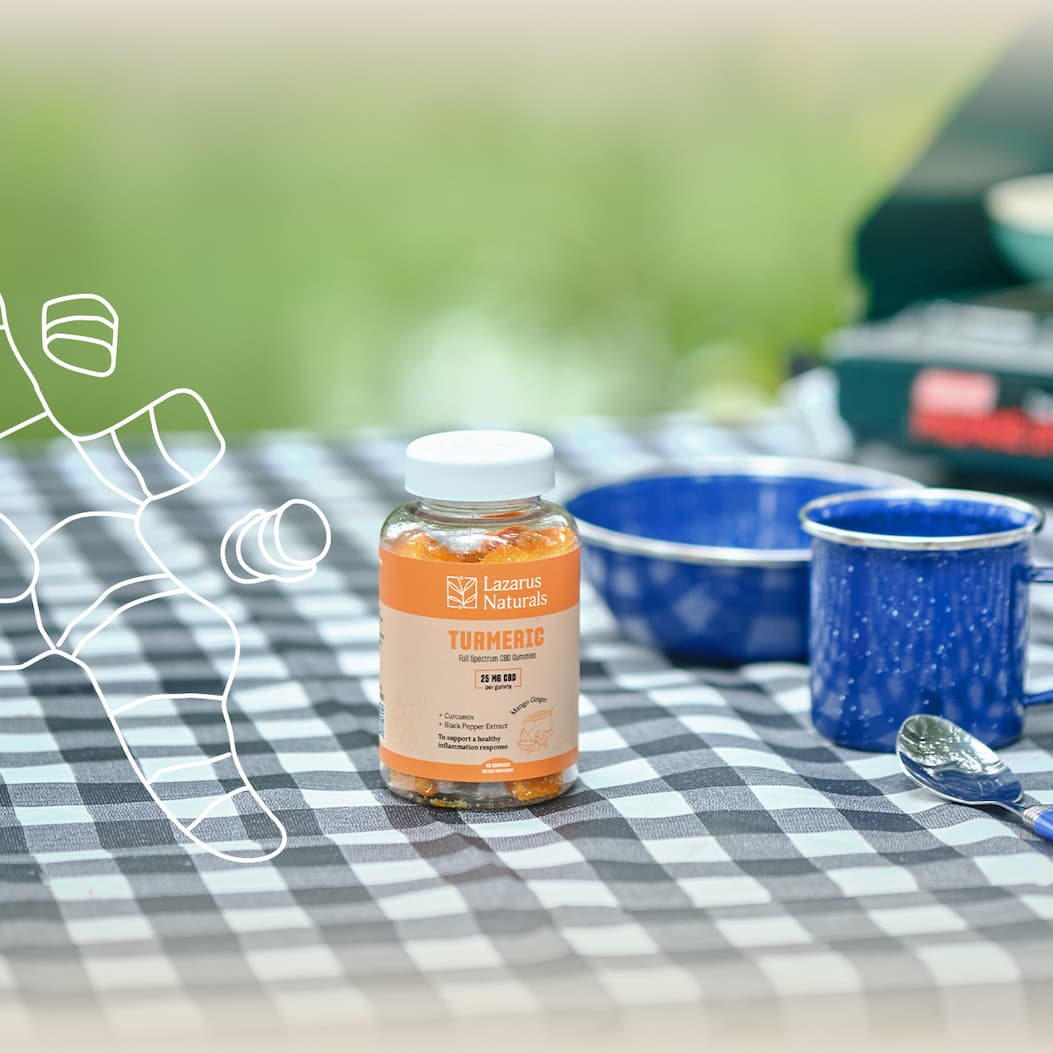 Labor Day Sale: 25% Off Sitewide - Shop Now