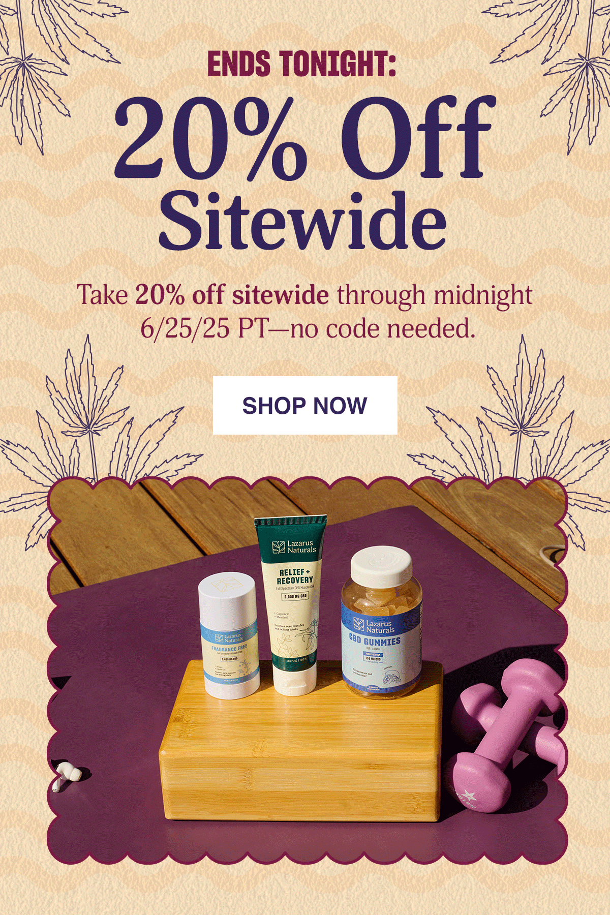 20% OFF SITEWIDE - SHOP NOW