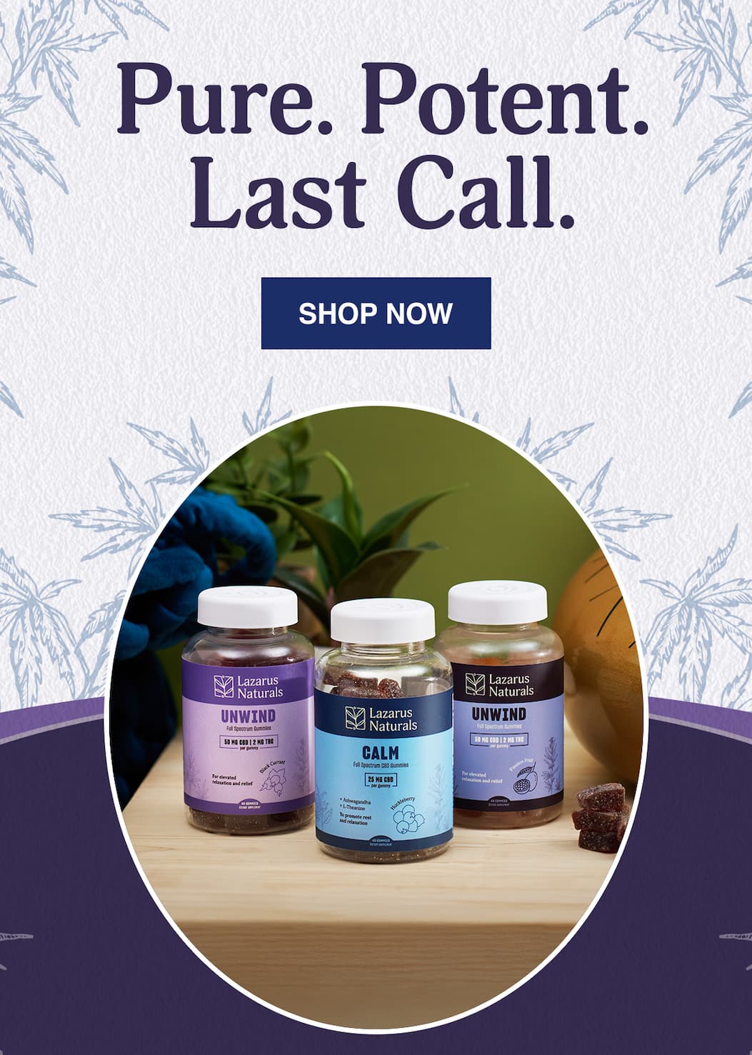 20% OFF PURE & POTENT PRODUCTS + TRIPLE REWARD POINTS