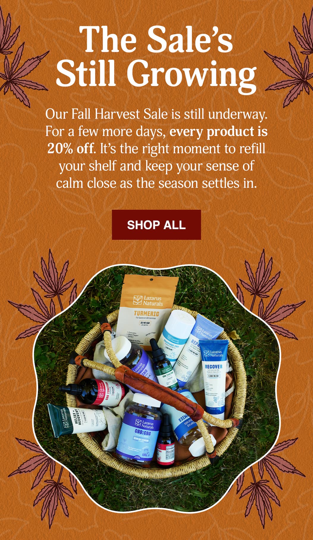 Harvest Sale 20% Off Sitewide