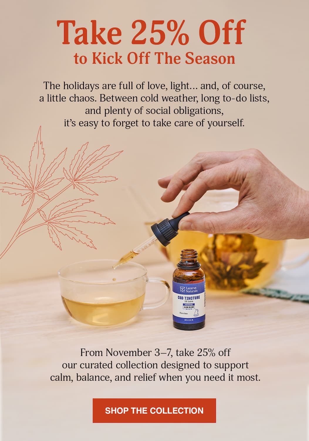 Take 25% Off - Shop The Collection