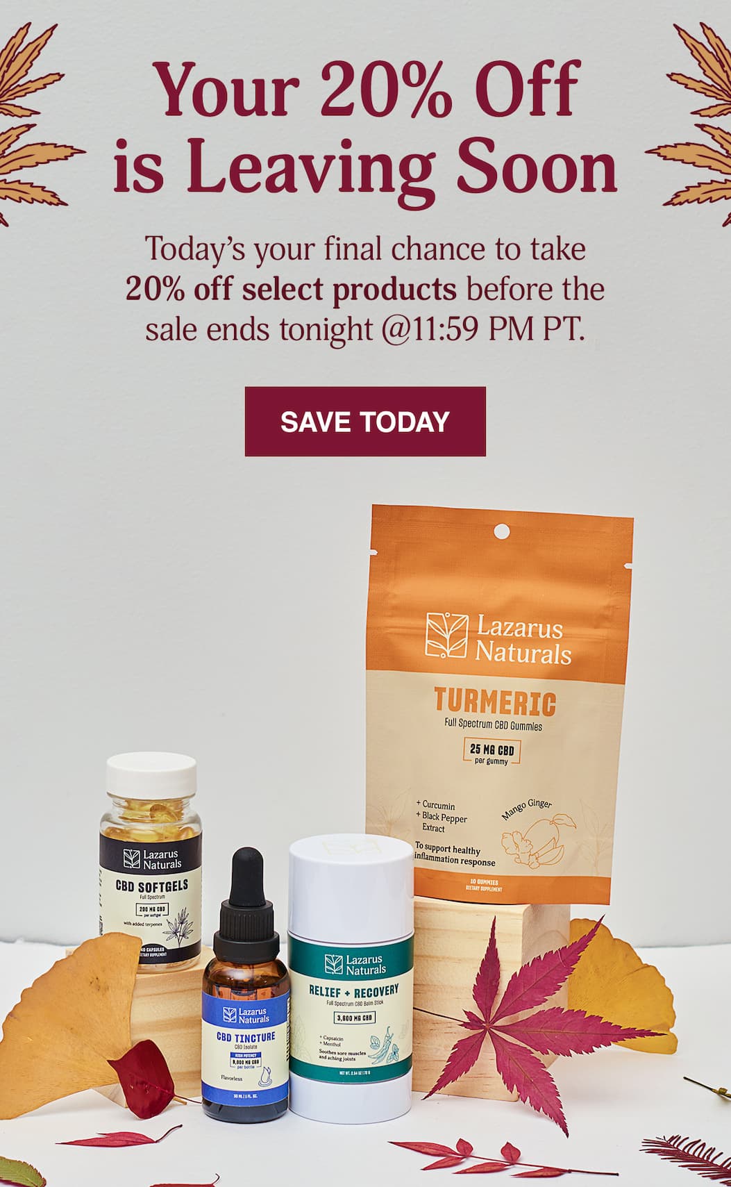 20% Off The Fall Collection - Shop Now