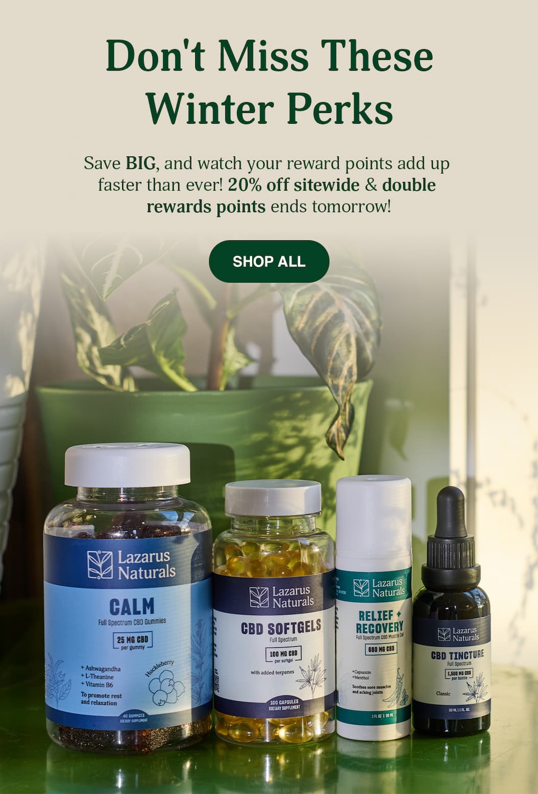 20% Off Sitewide & Double Rewards Points - Shop All