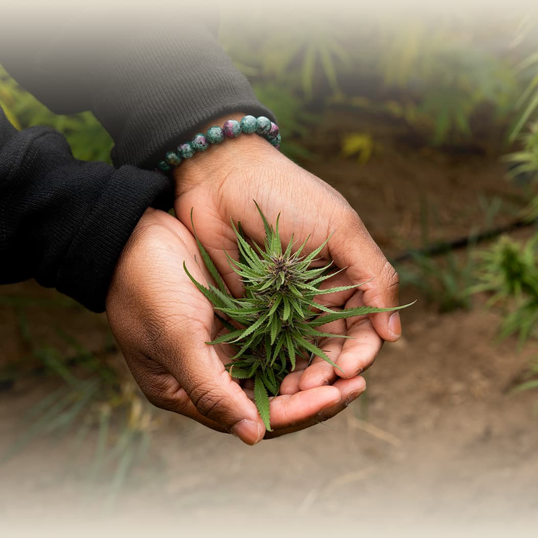 Get to Know Our Proof - Learn More