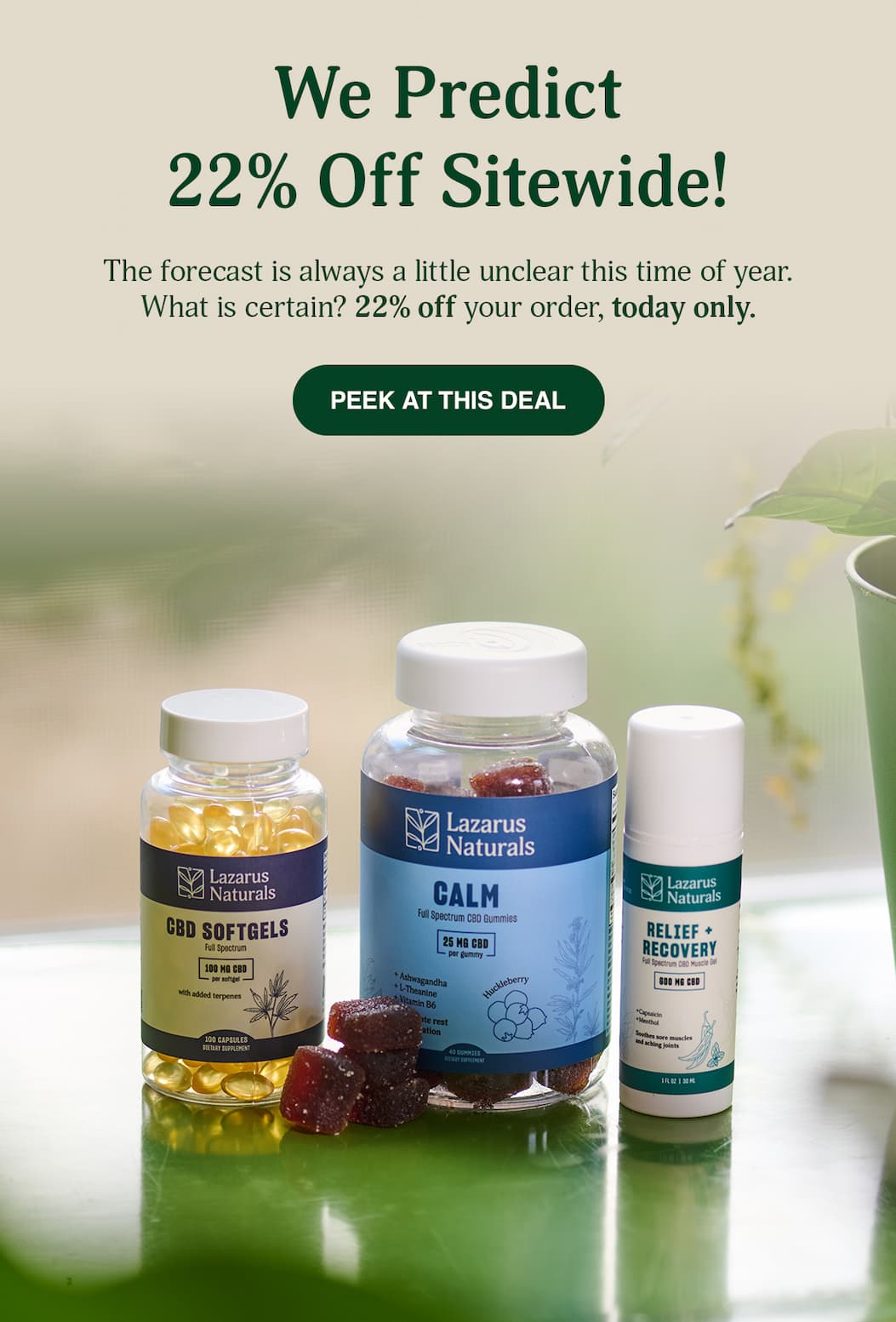 We Predict 22% Off Sitewide - Peek At This Deal