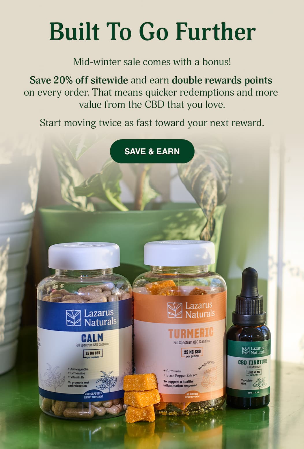 20% Off Sitewide & Double Rewards Points - Save & Earn