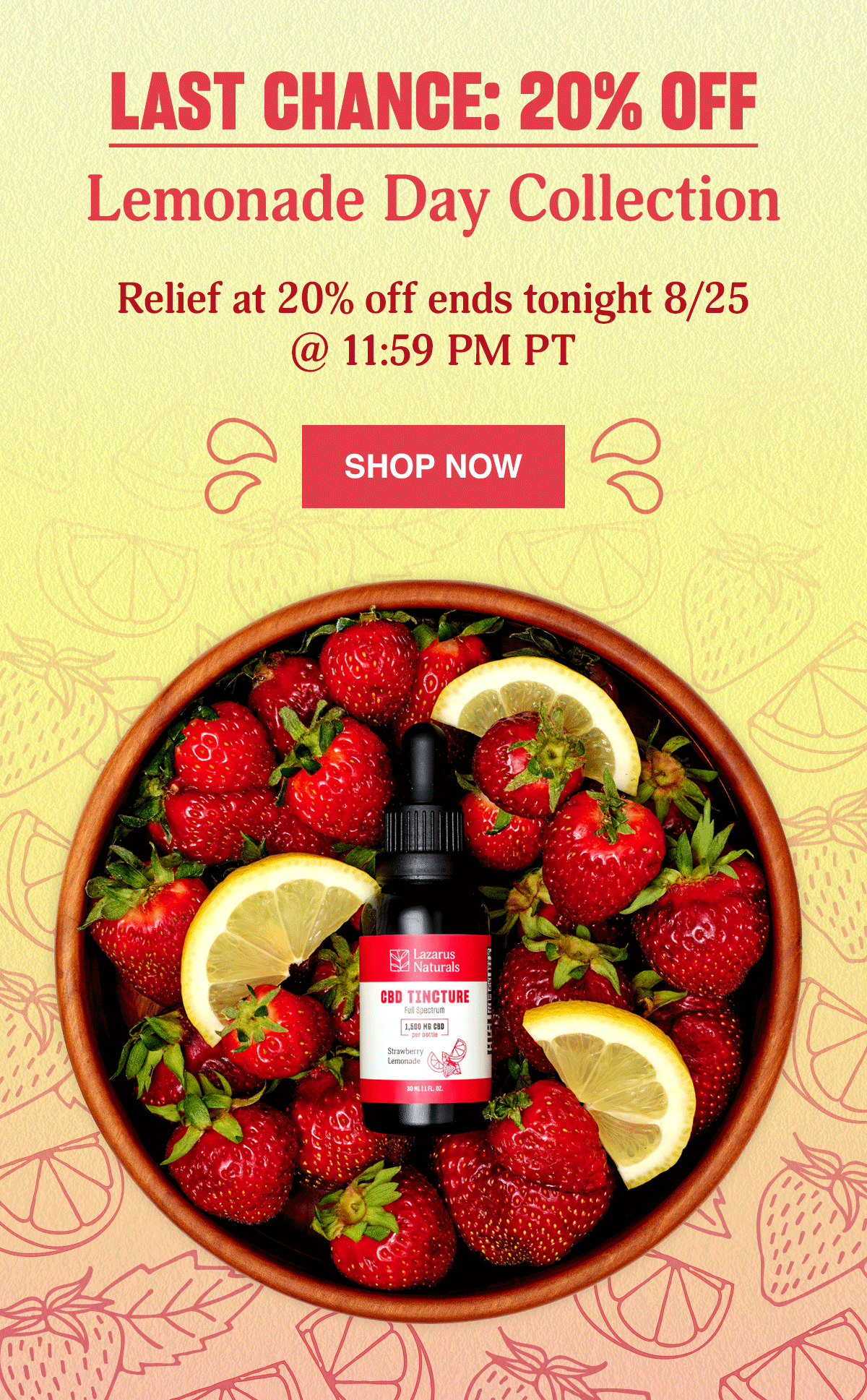 20% OFF OUR SUMMER LEMONADE COLLECTION - SHOP NOW