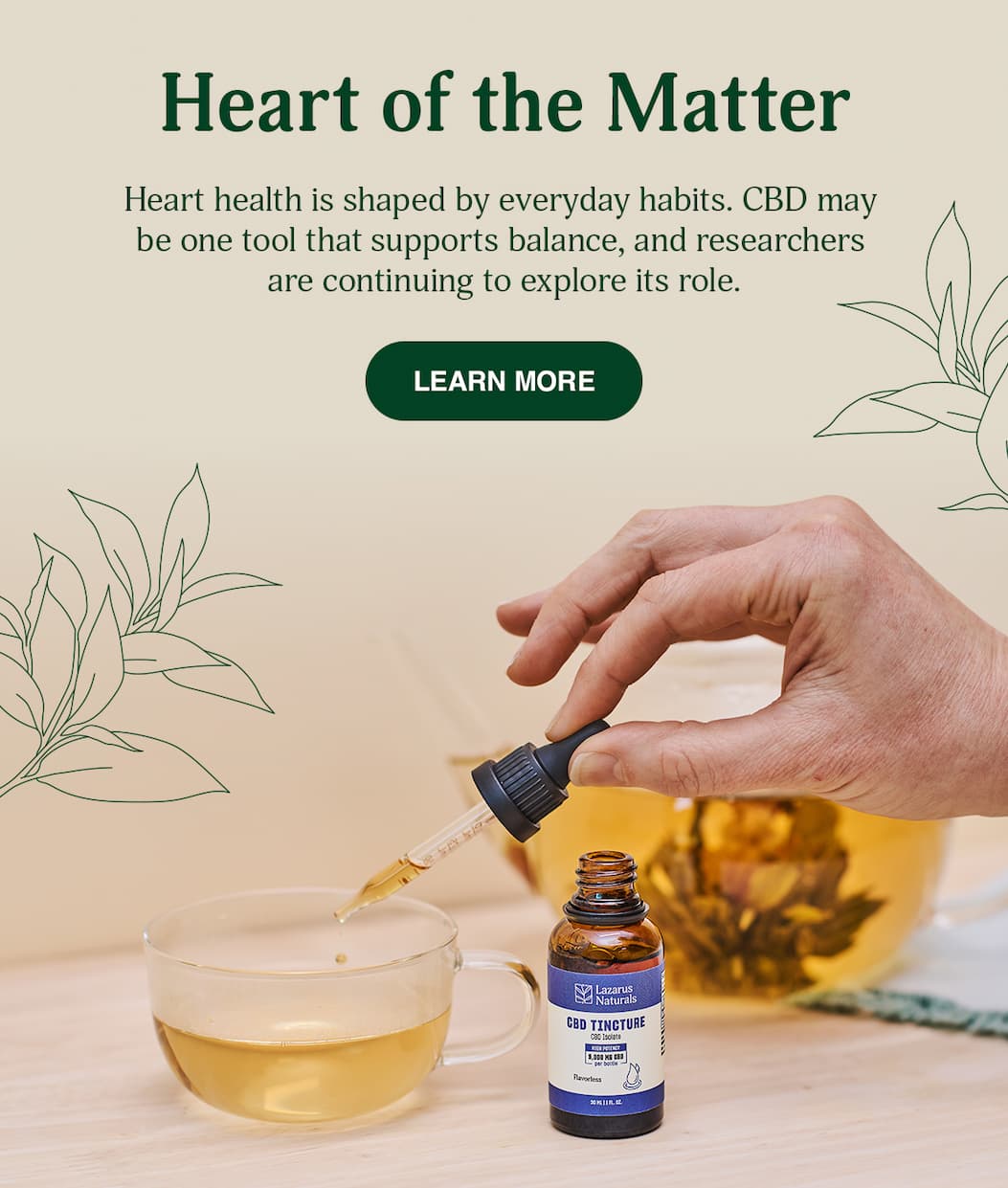 Heart of the Matter - Learn More
