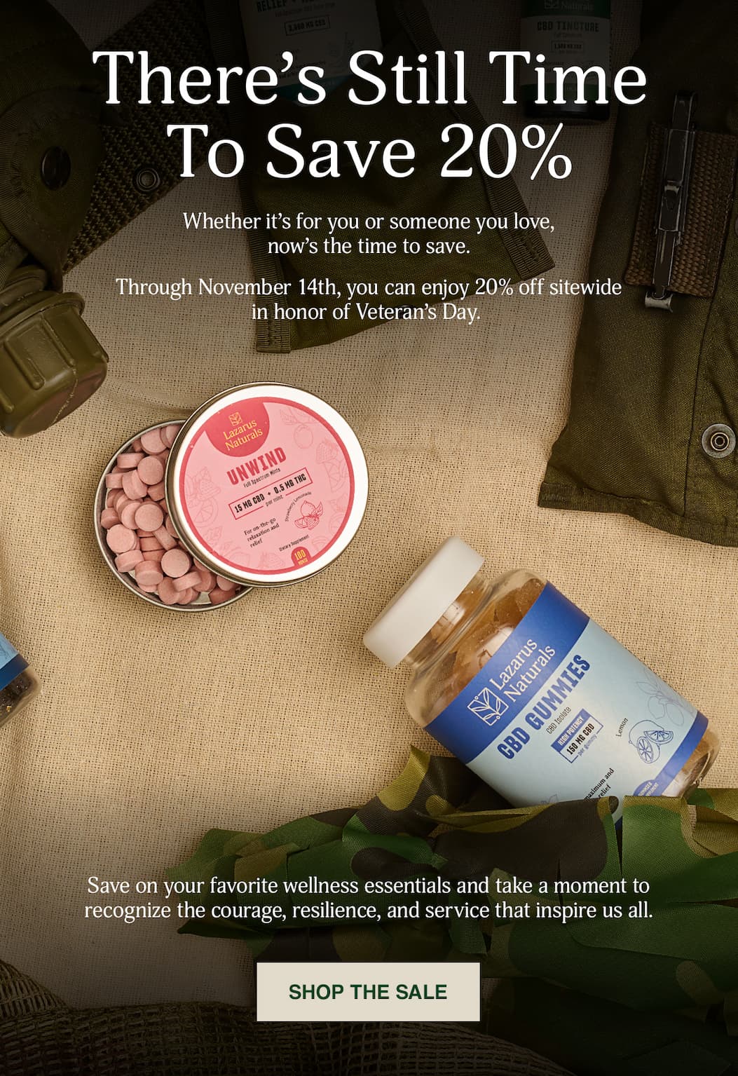 Veterans Day Sale 20% Off Sitewide