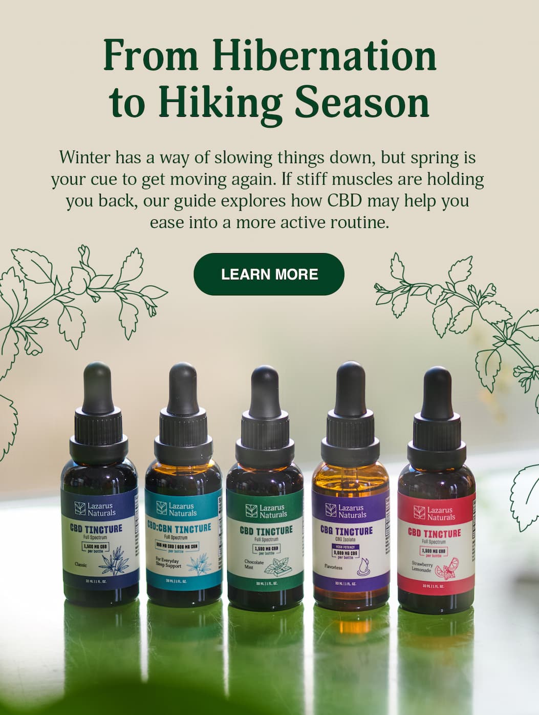 From Hibernation to Hiking Season - Learn More