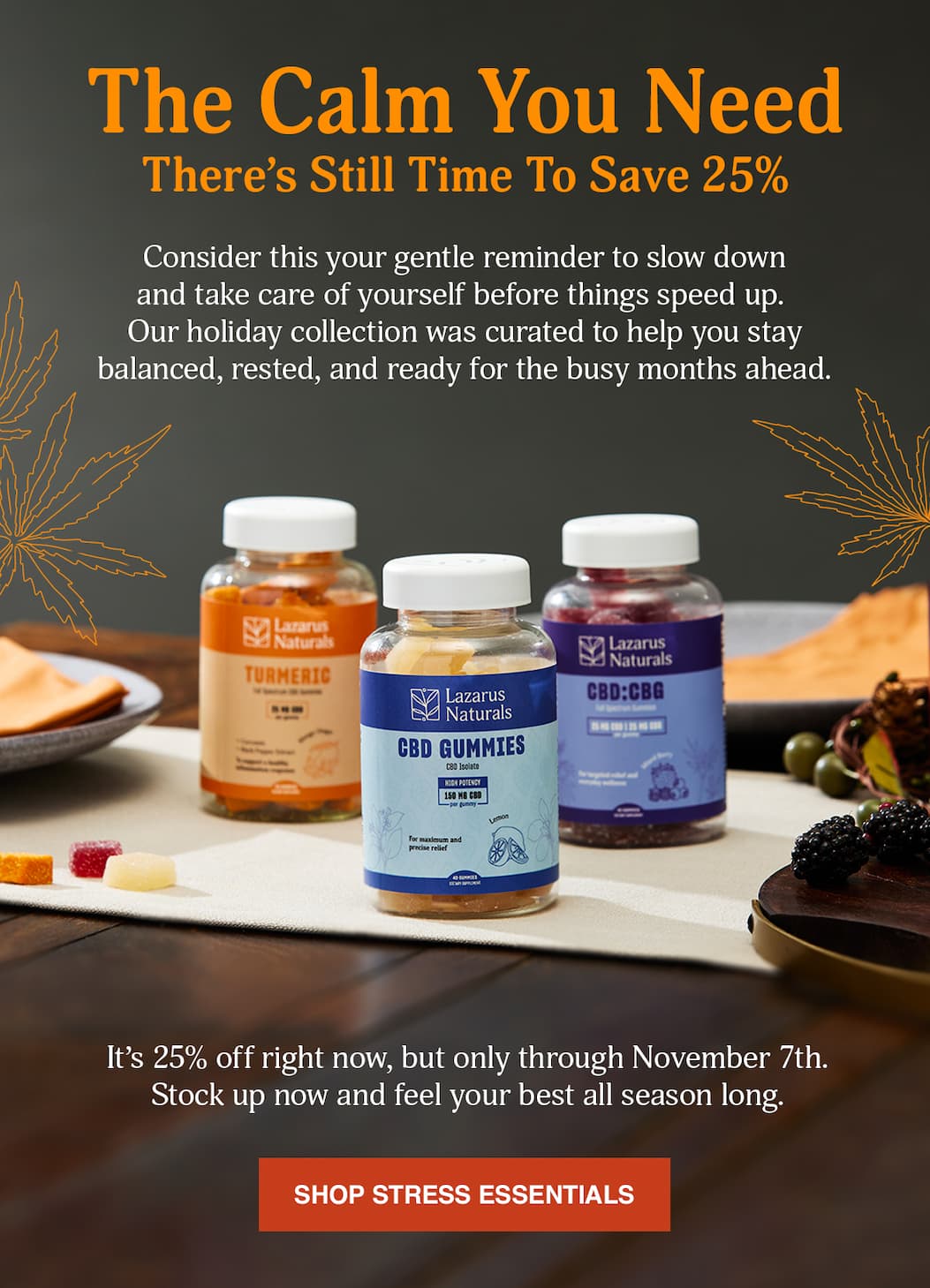Take 25% Off - Shop Stress Essentials