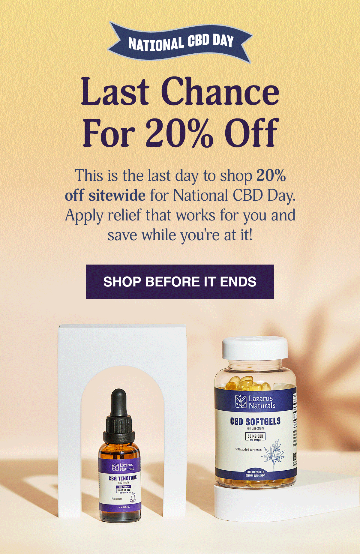 LAST CHANCE 20% OFF - SHOP BEFORE IT ENDS
