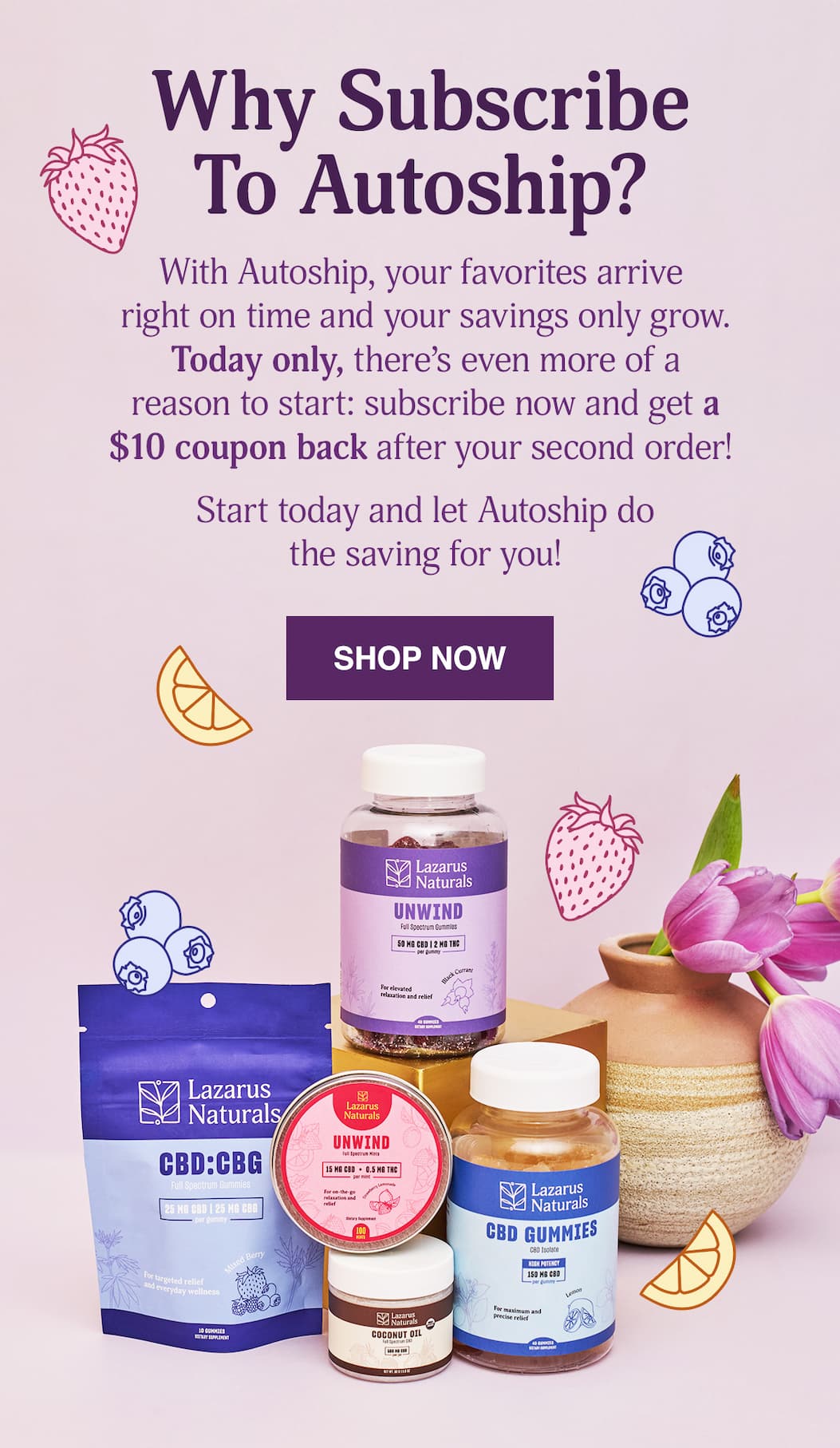 $10 COUPON BACK AFTER 2ND ORDER WHEN YOU SUBSCRIBE TODAY - SHOP NOW