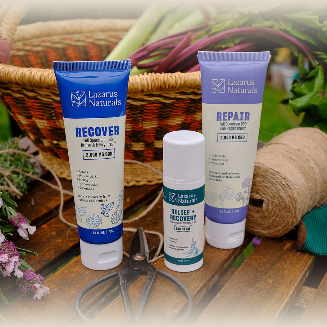 Harvest Sale: 20% Off Sitewide