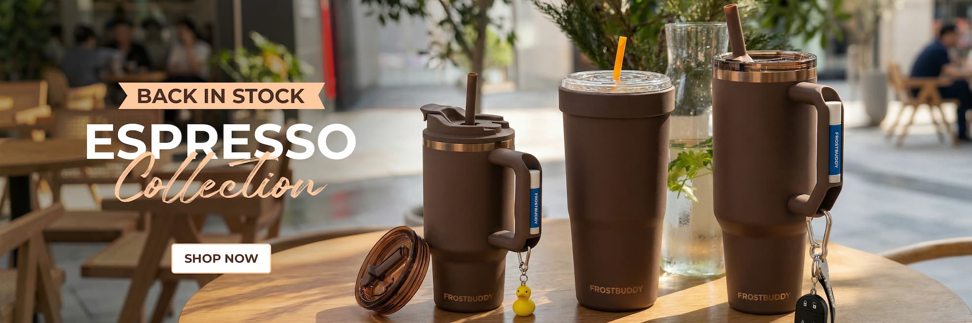 Frost Buddy Espresso Collection