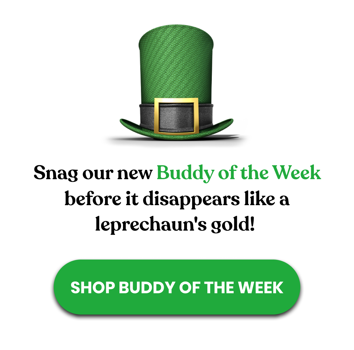 SHOP BUDDY OF THE WEEK