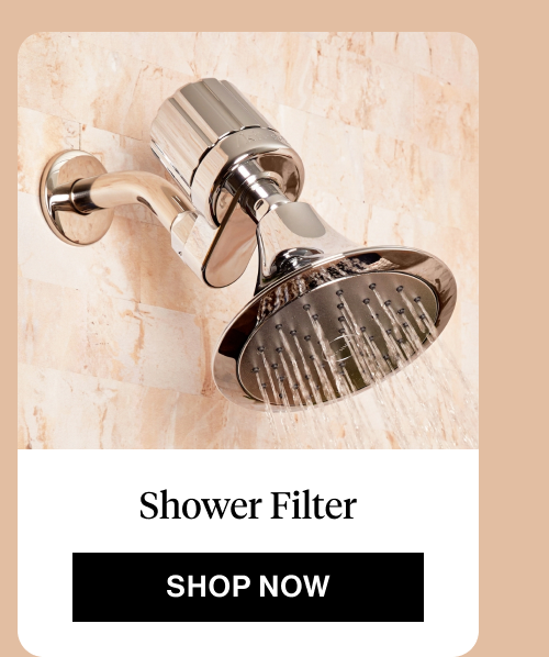 Shower Filter