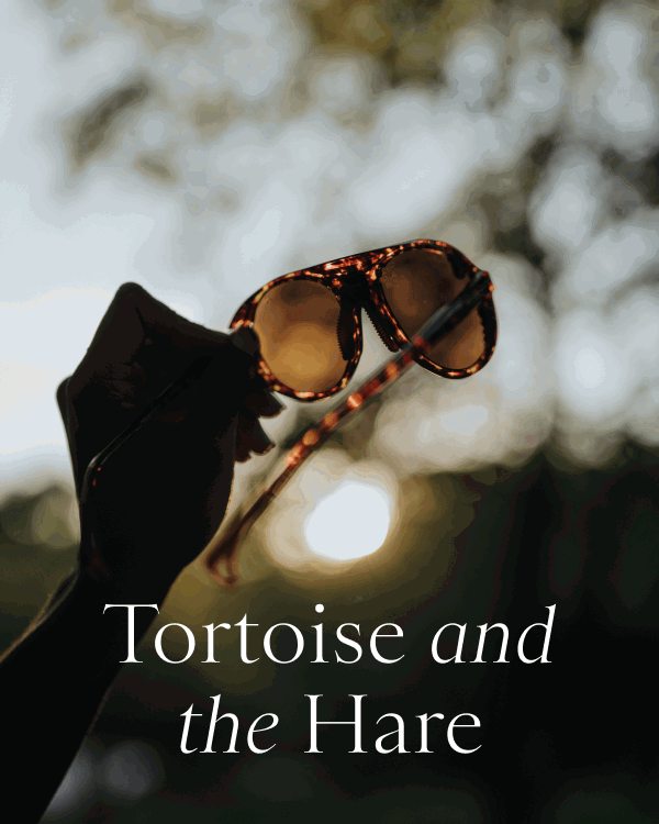 Tortoise and the Hare