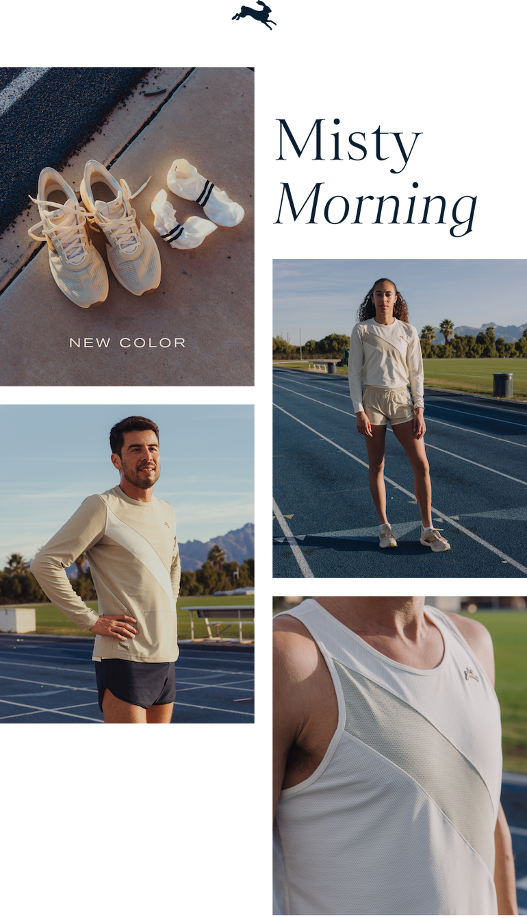 Misty Morning - New Color