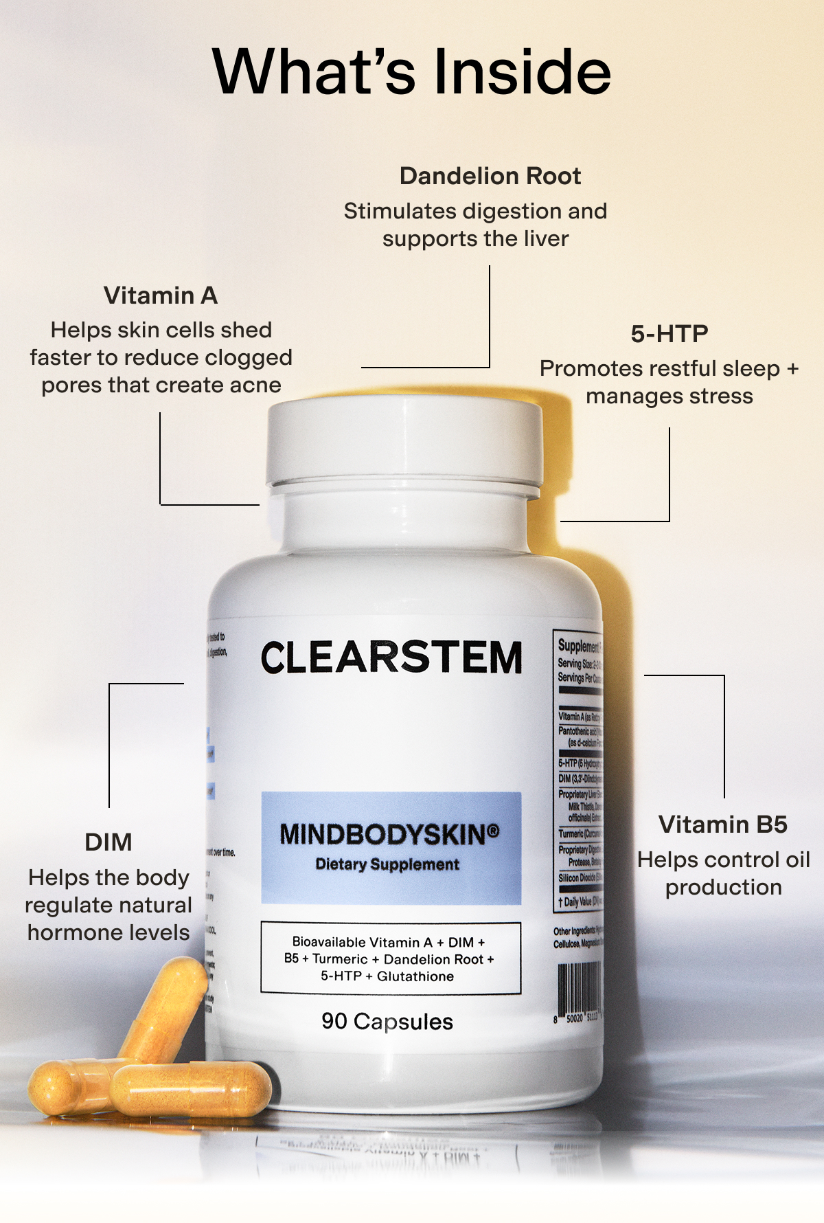 Whats Inside Mindbodyskin