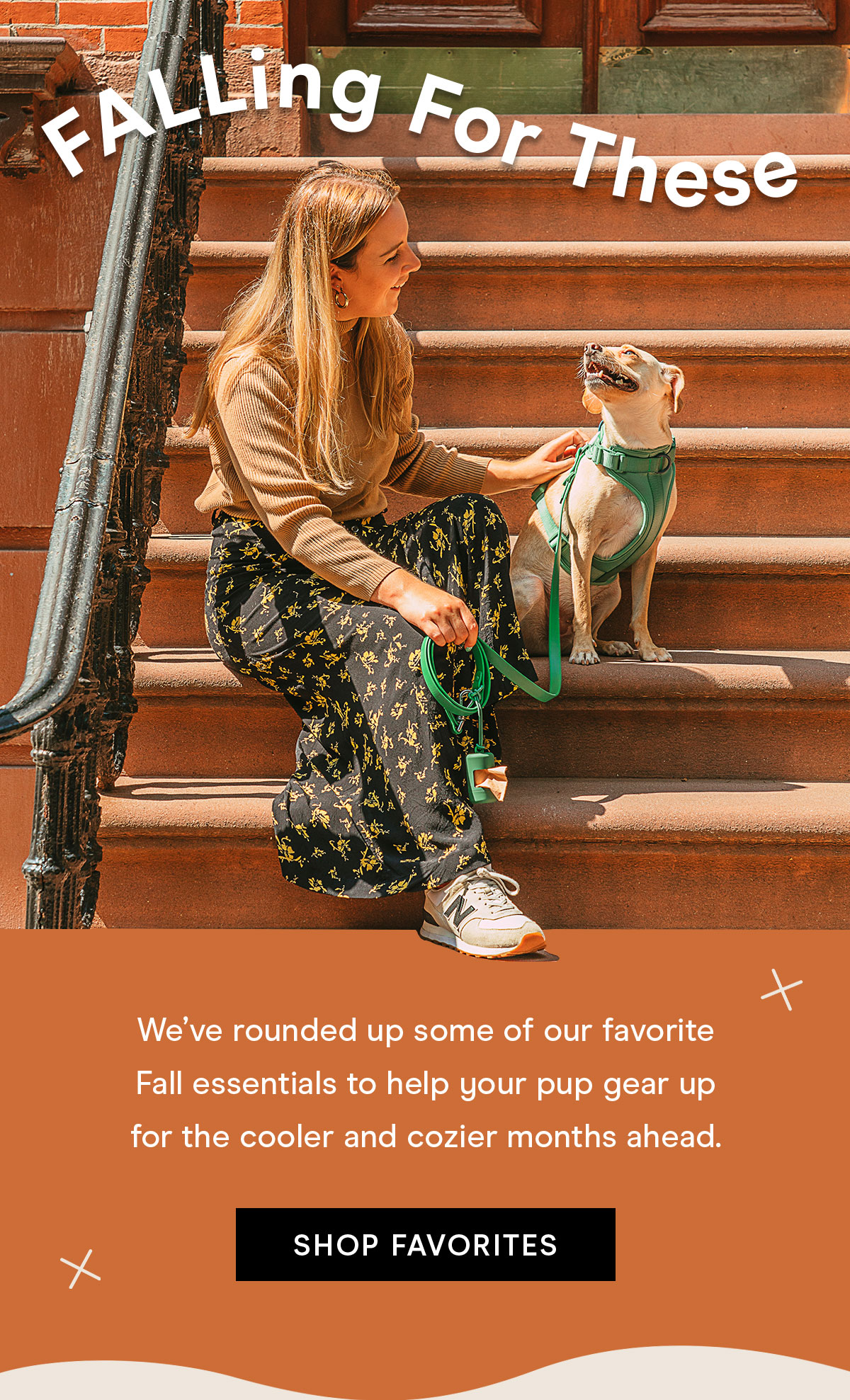 FALLing for These We've rounded up some of our favorite Fall essentials to help your pup gear up for the cooler and cozier months ahead. Shop Favorites