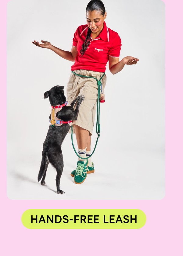 hands-free leash