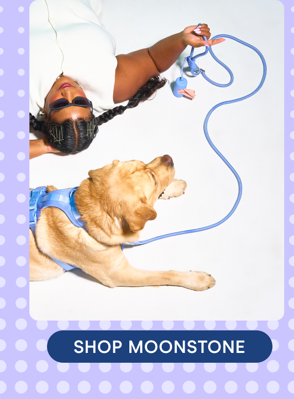 SHOP MOONSTONE