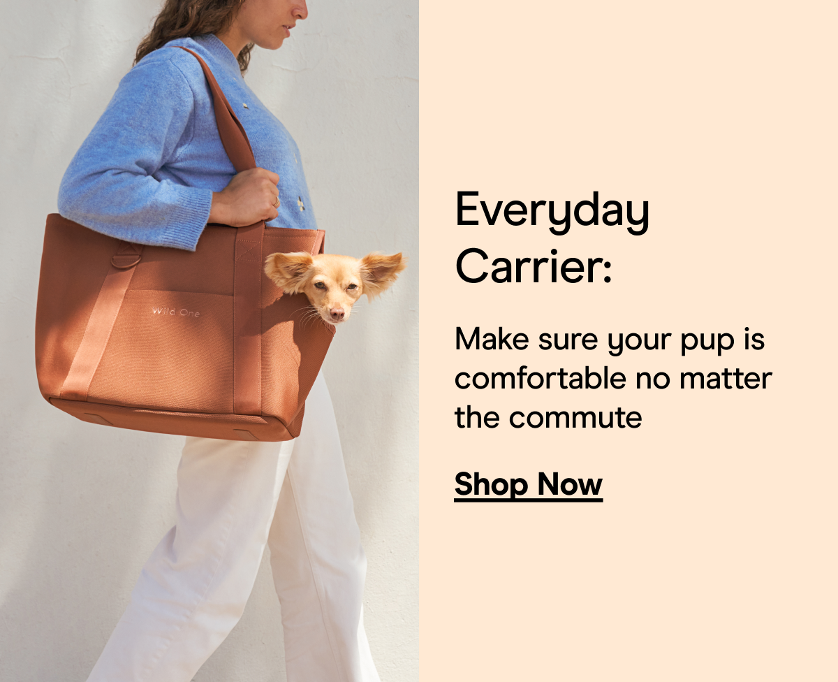 Everyday Carrier: Make sure your pup is comfortable no matter the commute Shop Now