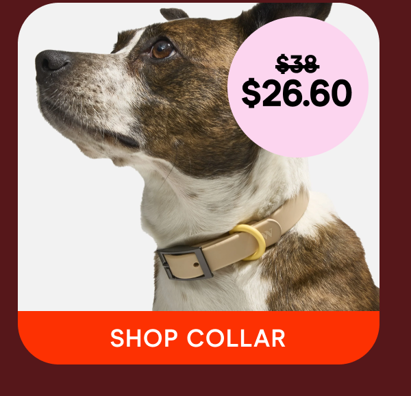 shop collar