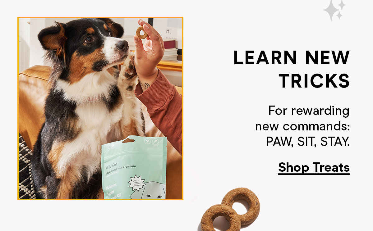 Learn New Tricks For rewarding new commands: PAW, SIT, STAY. Shop Treats