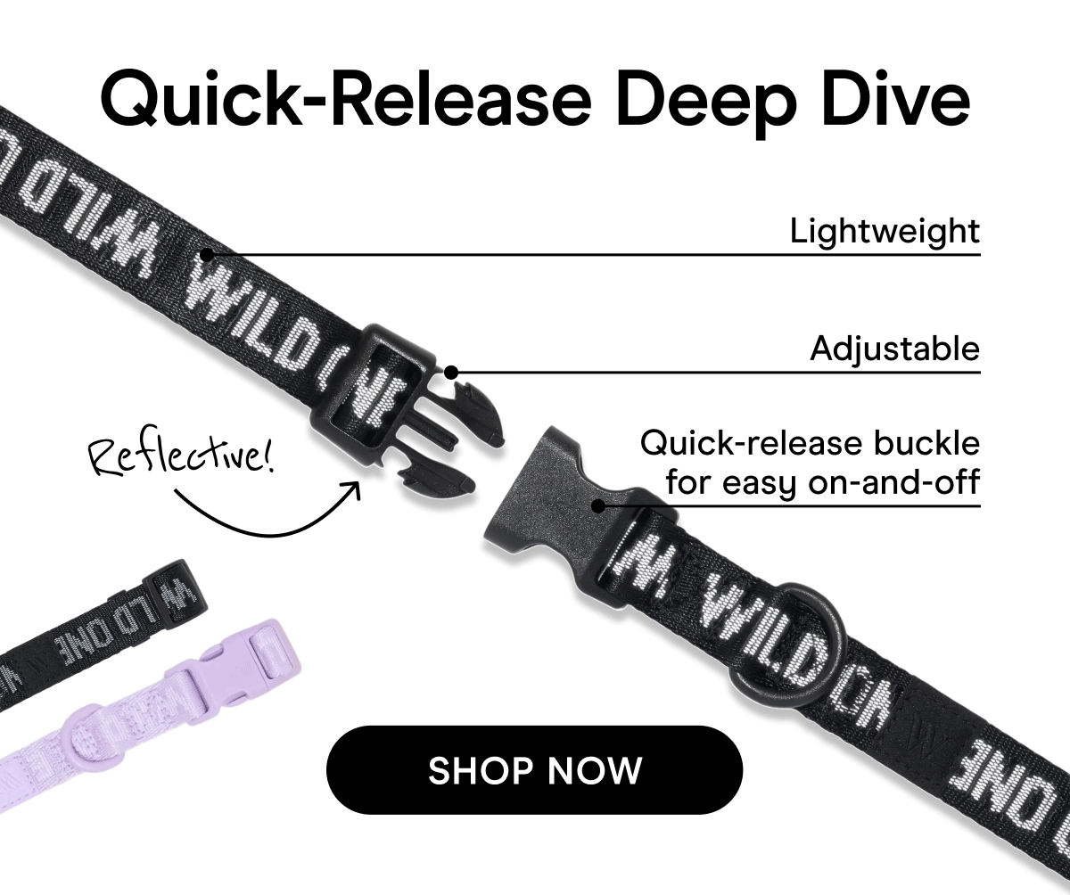 Adjustable Quick-release buckle for easy on-and-off