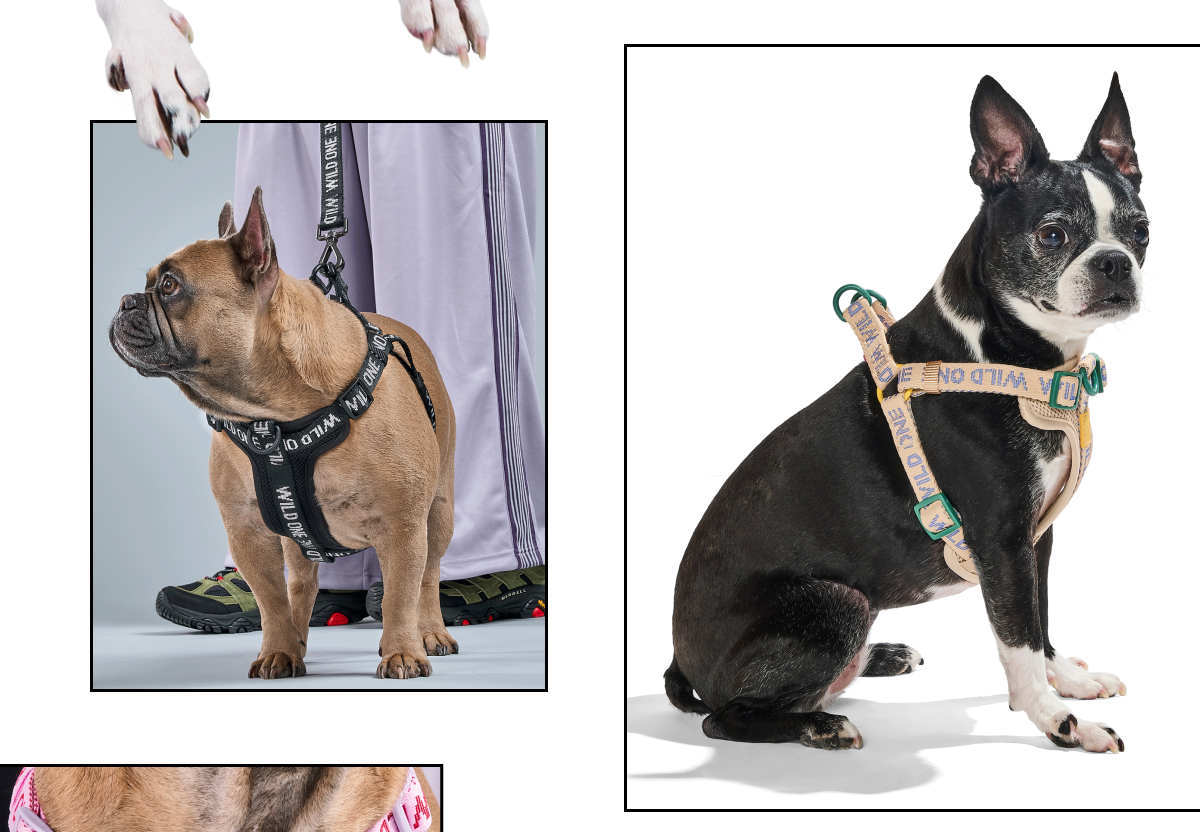 SHOP OTHER ESSENTIALS