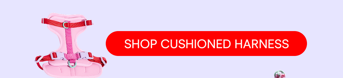 SHOP CUSHIONED HARNESS
