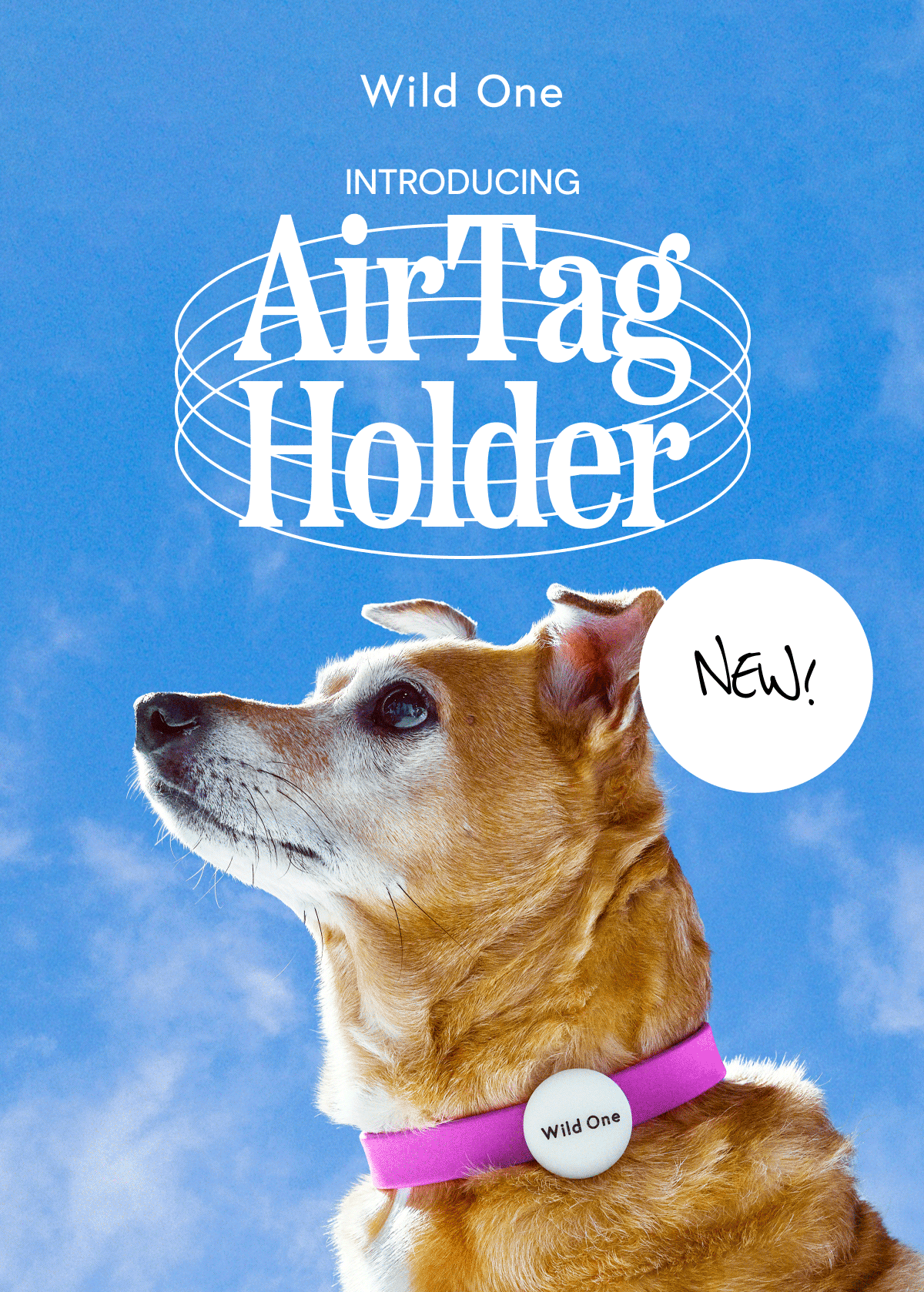 INTRODUCING AIR TAG HOLDER