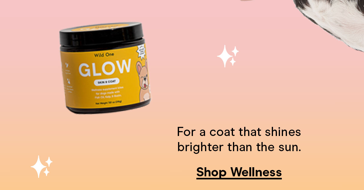 For a coat that shines brighter than the sun. Shop Wellness