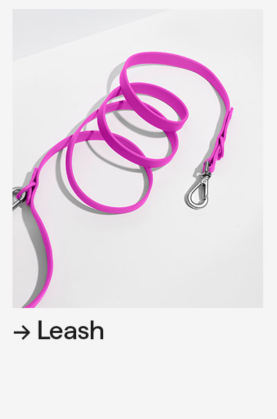Orchid Leash