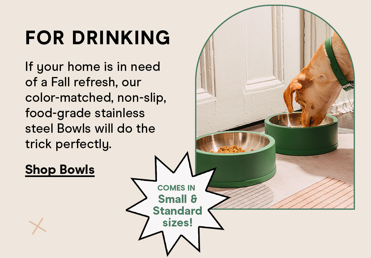 For Drinking If your home is in need of a Fall refresh, our color-matched, non-slip, food-grade stainless steel Bowls will do the trick perfectly. Shop Bowls