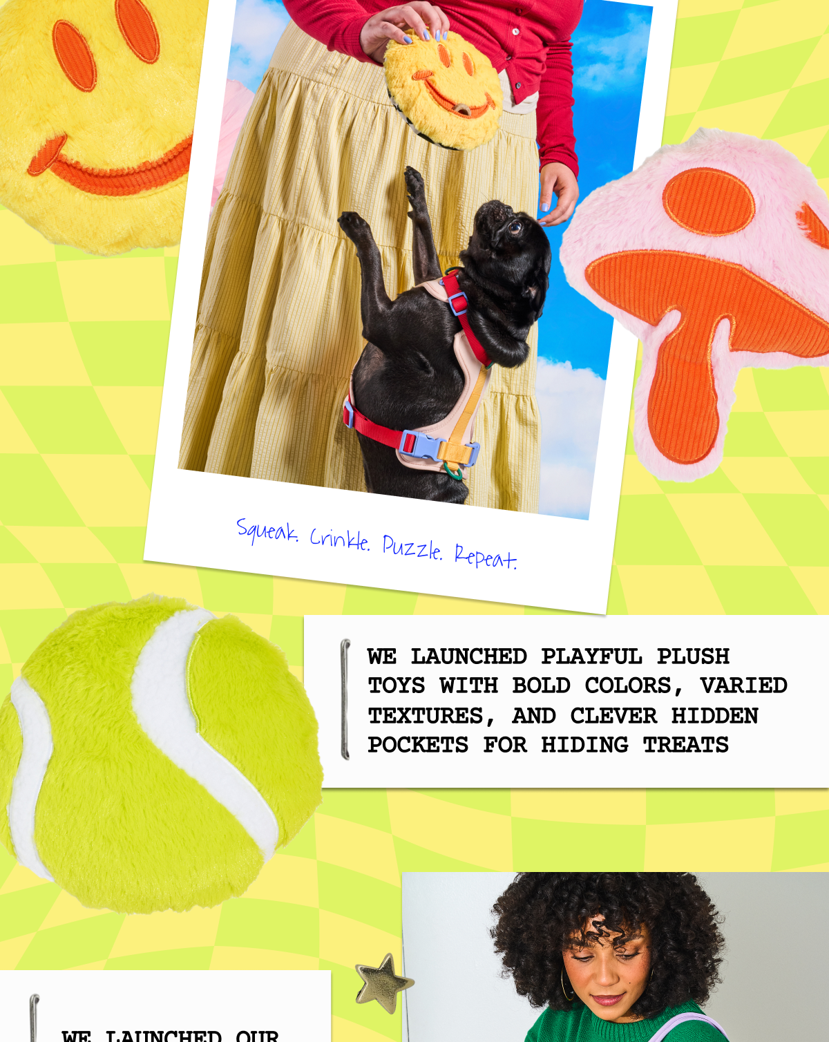 WE LAUNCHED PLAYFUL PLUSH TOYS WITH bold colors, varied textures, and clever hidden pockets for hiding treats 